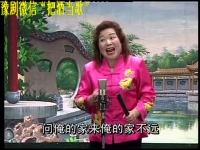 胡中花演唱的河南坠子(胡中花演唱的河南坠子全集拉荊芭)