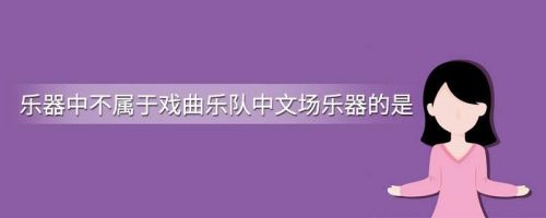 戏曲乐队中不属于文场乐器的是什么乐器(不属于戏场乐队的文场乐器)