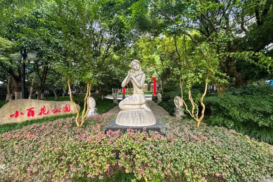 杭州市振华小百花越剧团小生_杭州振华小百花越剧团_杭州市振华越剧团