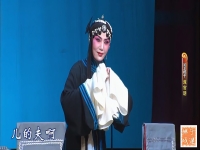 河北梆子墙头记全集(河北梆子墙头记全集二团演出)