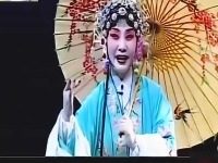 豫剧自从你两眼一闭(豫剧自从你两眼一闭撒手而去我爱我爹任洪恩)