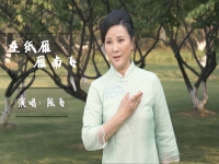 越剧演员陈飞女儿叫什么(越剧名家 陈飞越剧经典唱段欣赏)