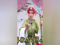 河南曲剧铡西宫全集(曲剧铡西宫西宫的唱段)