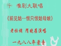 马秀英淮剧李翠莲(淮剧演员马秀英唱段)