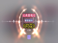 黄梅戏主题歌曲大全(黄梅戏歌曲视频完整版)